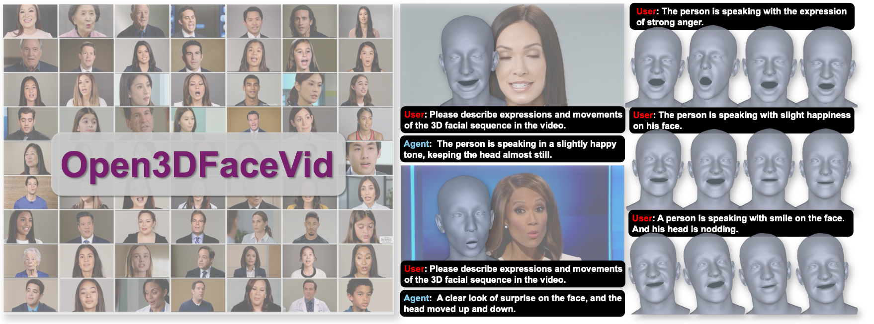Bridging Facial Understanding and Animation via Language Models